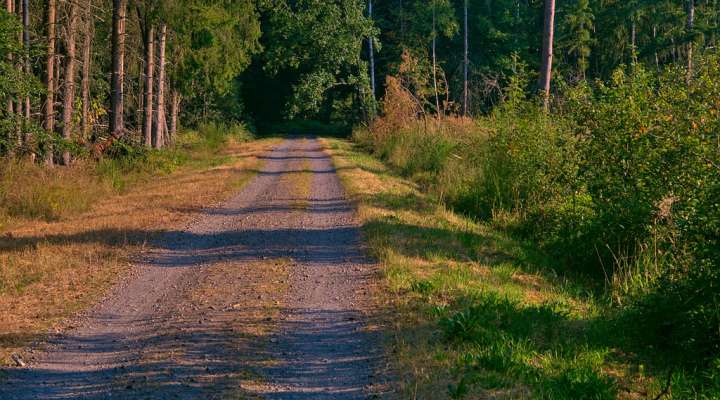 Oderfang - Porcelette - Creutzwald