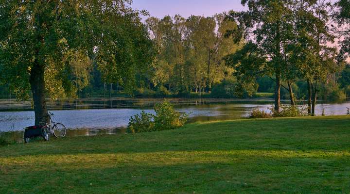 Rinting ponds circuit