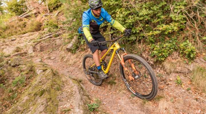 Sandplatz mountain bike trail