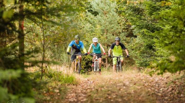 Kempel mountain bike trail