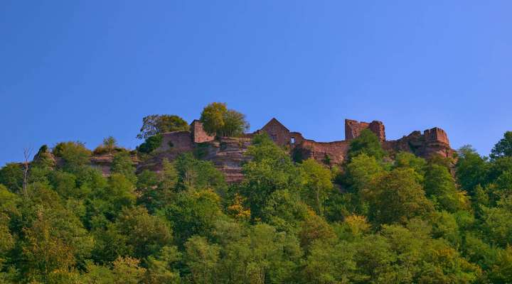 RIVER CRUISE BETWEEN LUTZELBOURG AND NANCY