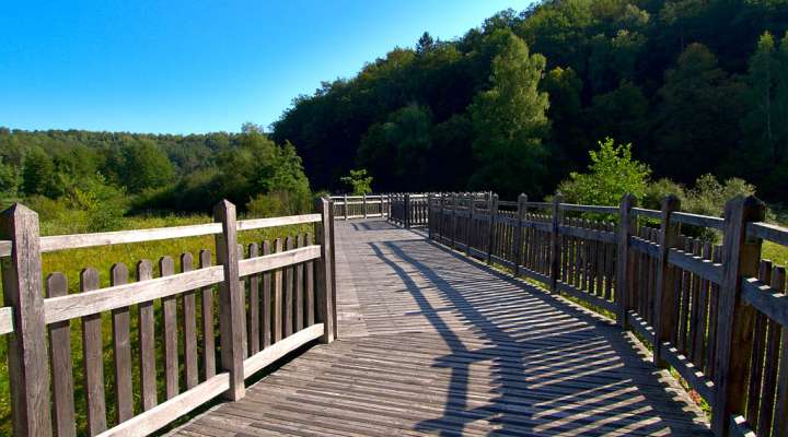 Pays de Bitche cycle route