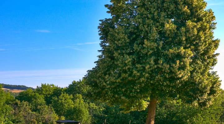 GR5G from Metz to Saarbrücken