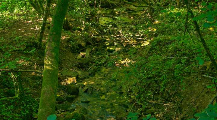 Malbrouck mountain bike circuit (variant)