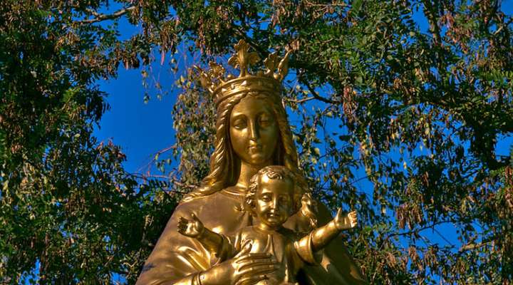 Fruit garden circuit