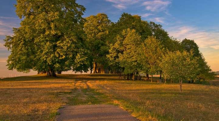 Mont Saint-Pierre circuit