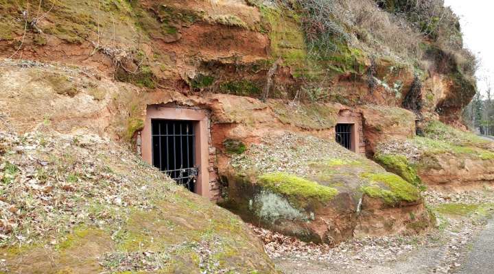 Circuit de la grande Saule