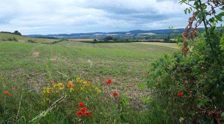 Chemin de Saint-Antoine
