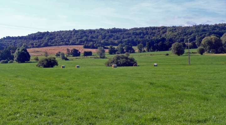 LOOP DE BELVAL ET DE L'ETANG