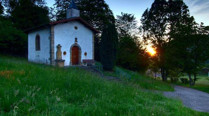 The warndt buttonhole