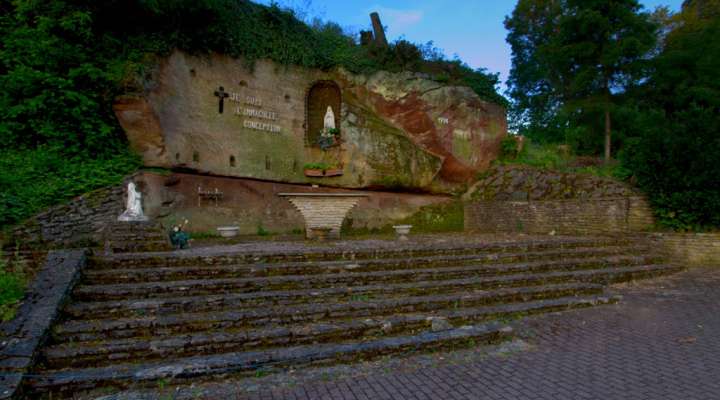 The warndt buttonhole