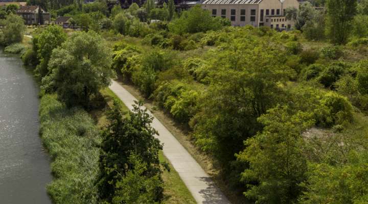 Left bank Moselle cycle route