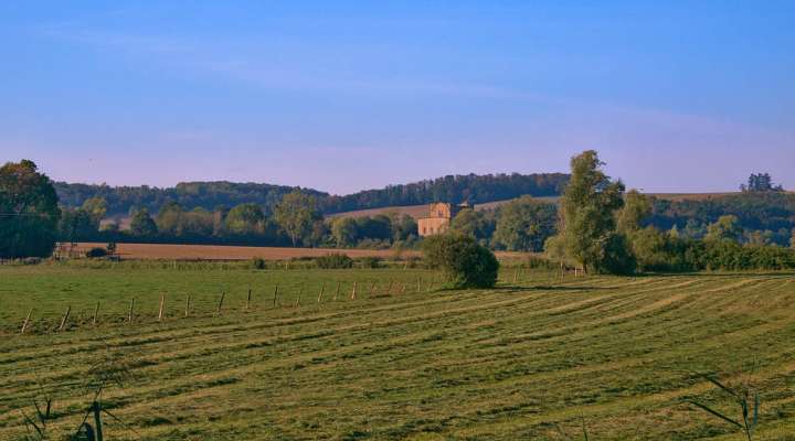 In the footsteps of the queen