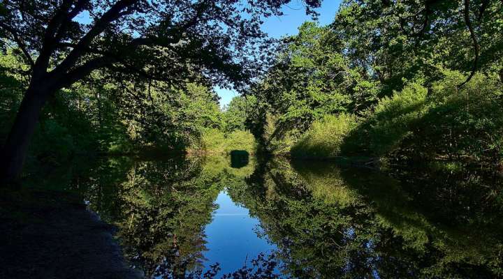Ponds and lake