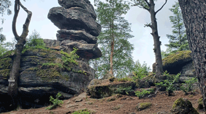 Circuit du Sandplatz