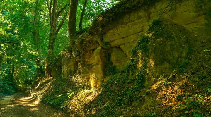 Mountain biking to the Charlemagne spring