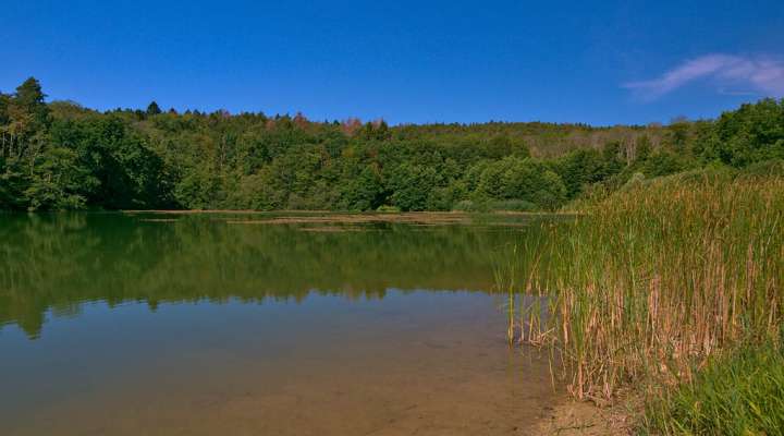 The 60 mountain bike route