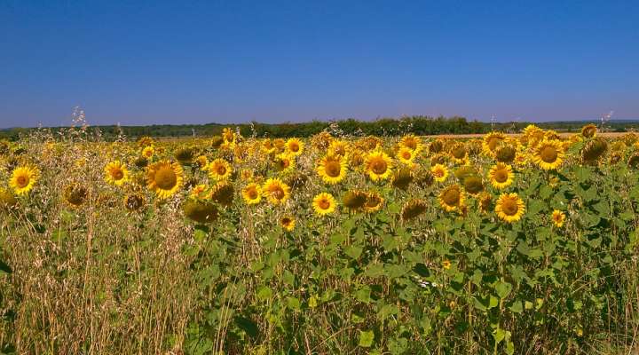 Walking route from Sanry-les-Vigy to La Grande Commune