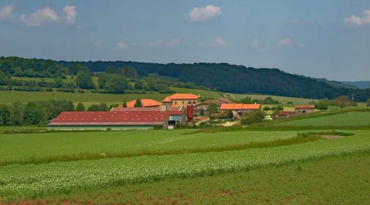 The upper Canner valley