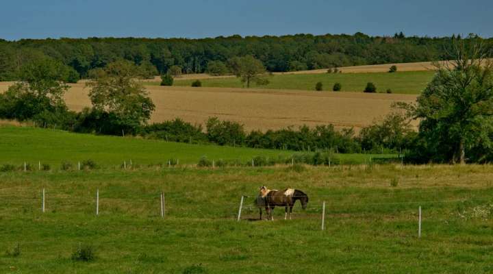 Around the mardelles