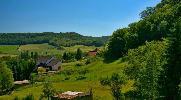 Between Bibiche and Canner