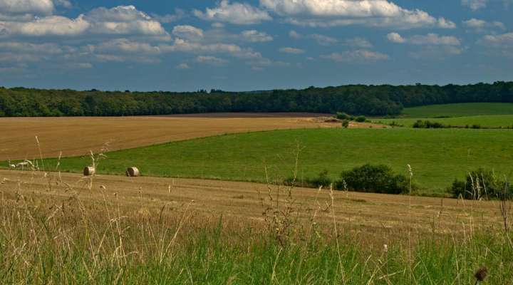 Le chemin du feugnot