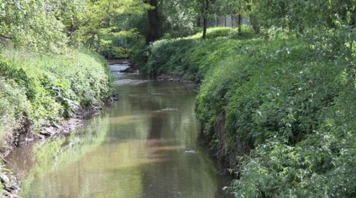 Itinéraire des Berges de la Rosselle