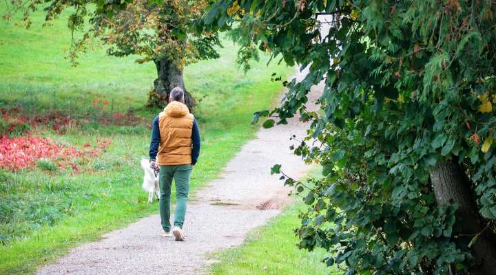 In the footsteps of the Spiritans