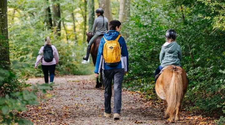 Walk around the Marais-Pond