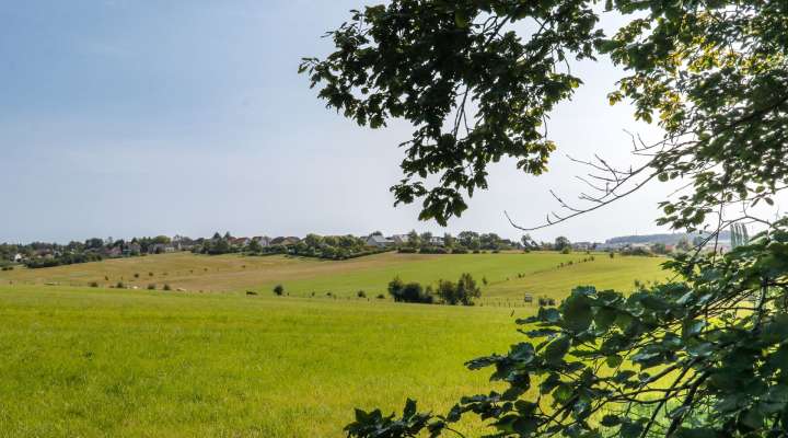 The Fruit Tree path