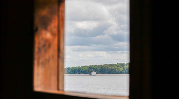 The Oak and the Reed