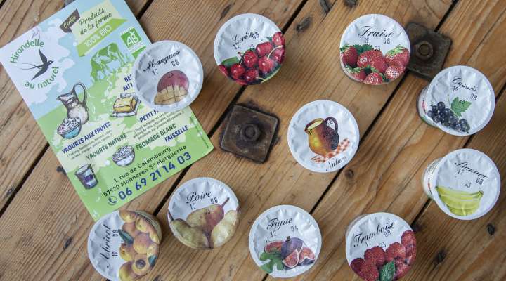 Hirondelle au naturel