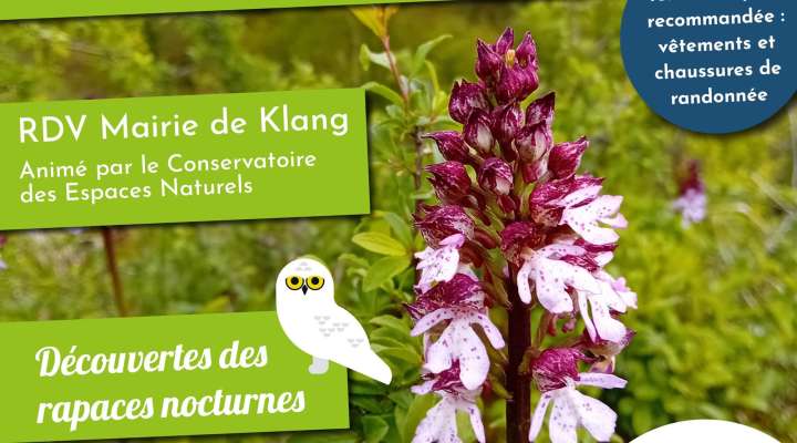 Balade Nature - Animation Natura 2000