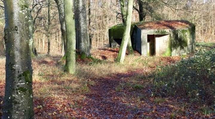 Point d'appui fortifié de Macheren