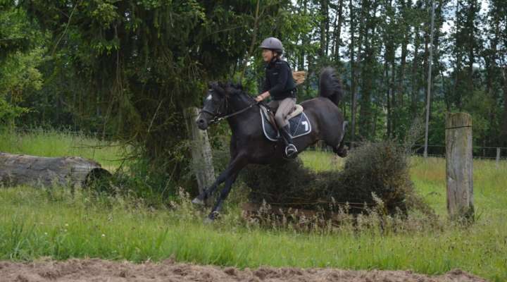 École d'équitation de Saint-Avold
