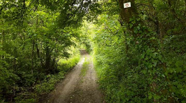 Circuits du Club vosgien section de Saint-Avold