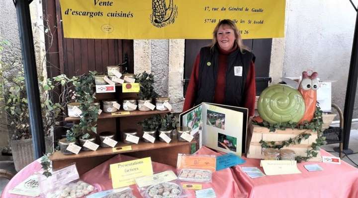 L'escargot dans la prairie