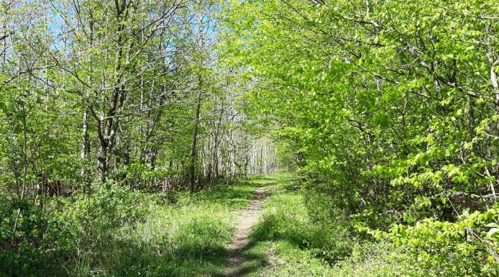 Randonnée pédestre à la découverte des mardelles