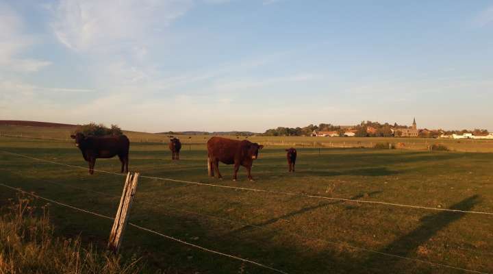 Autour de la chapelle de Klausenberg