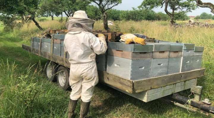 La coquille gourmande escargots et miel