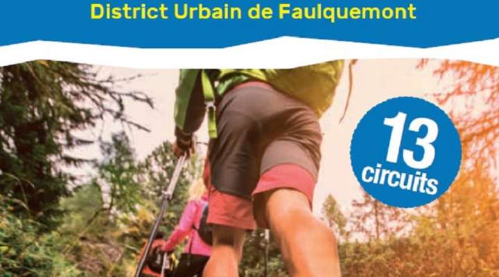 Circuit Faux en forêt