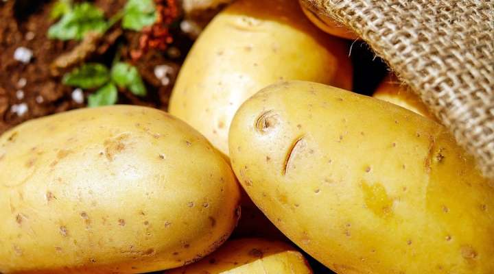 La langheck - pommes de terre