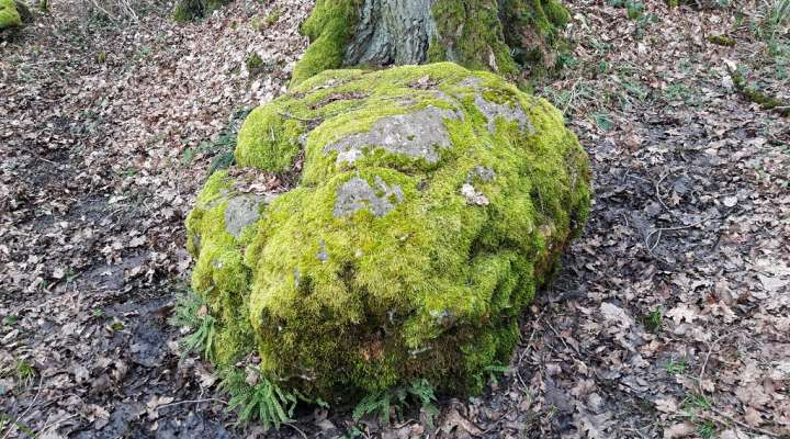 Pierre tournante dicke udel