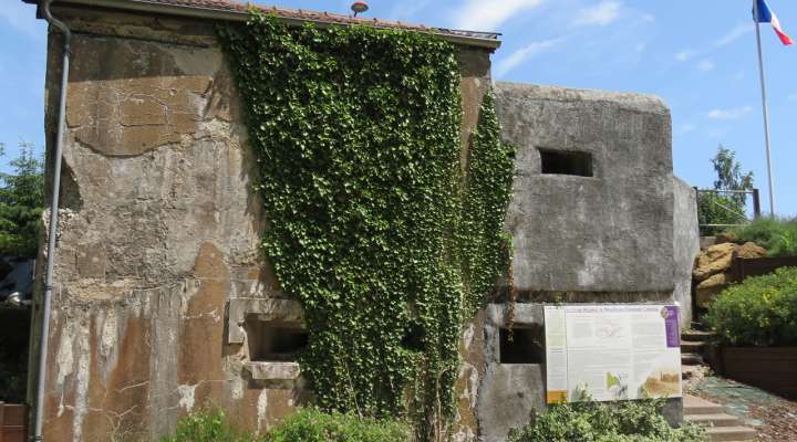 La ligne maginot aquatique