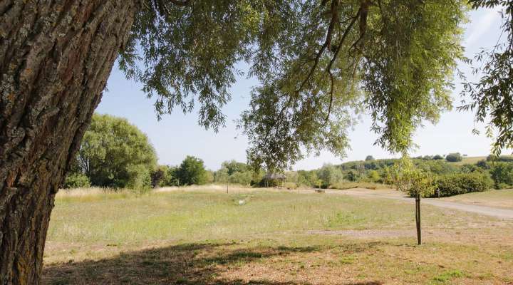 Arboretum
