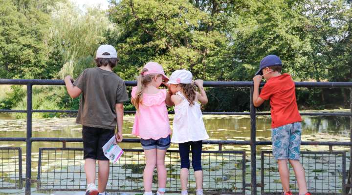 Randoland - Sarralbe