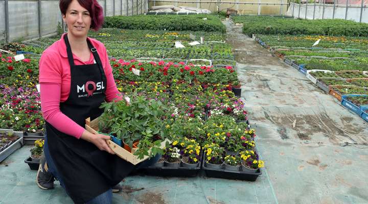 Horticulture litzenburger