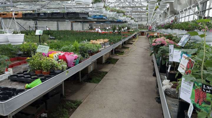 Horticulture litzenburger