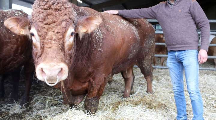 Ferme des 3 Vallées