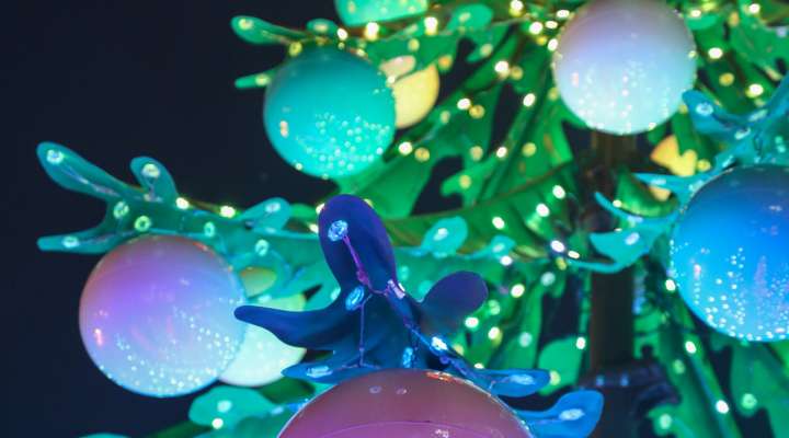 Le manège Sapin féerique